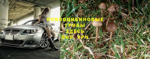 дживик Бородино