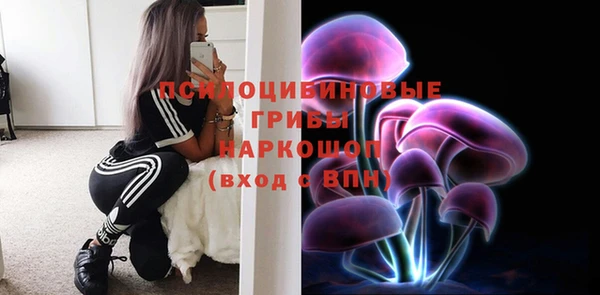 дживик Бородино