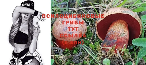 MDMA Premium VHQ Верхний Тагил