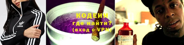 дживик Бородино