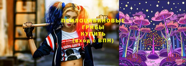 гашик Бугульма
