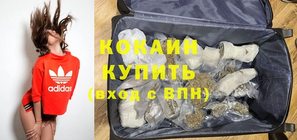 дживик Бородино