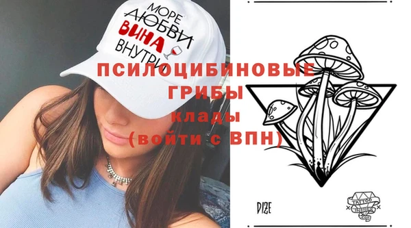 дживик Бородино