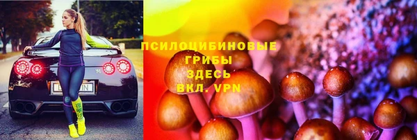 дживик Бородино