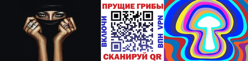 kraken   сколько стоит  Грайворон  Псилоцибиновые грибы Magic Shrooms 